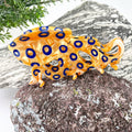 Blue ring octopus and Small Dumbo Octopuses Claw Clip