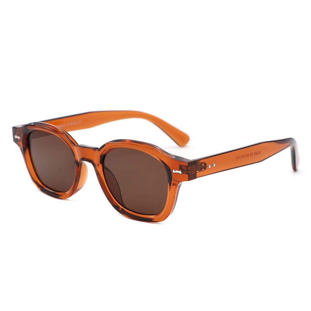 Classic Round Thick Frame Modern Sunglasses