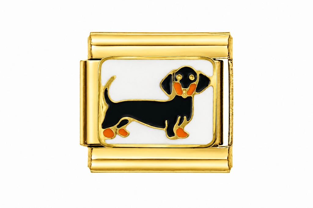 Dachshund