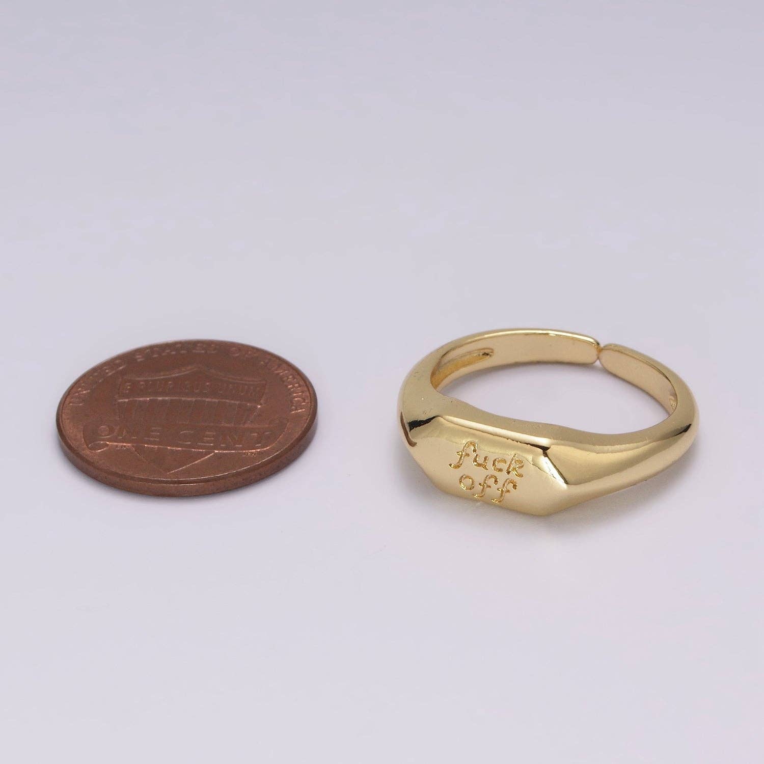 Dainty Gold Fuck Off  Signet Ring Fuckoff rings Open Adjustable signet ring gold rings for women U-133
