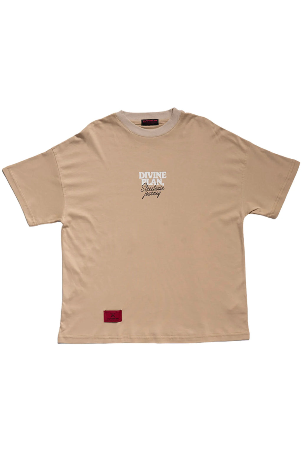 Divine Plan T-Shirt