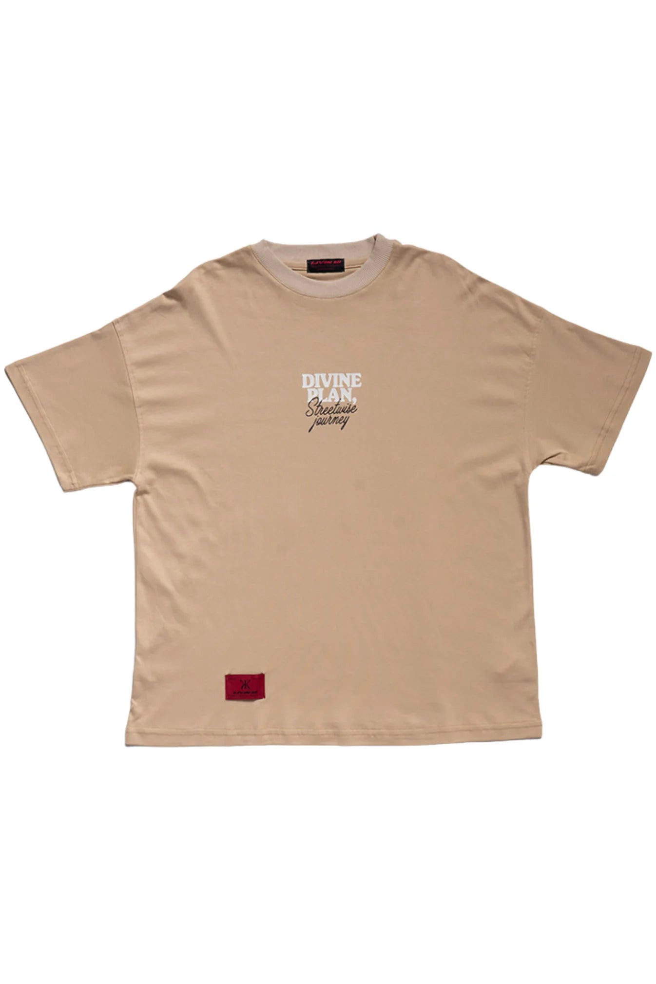 Divine Plan T-Shirt