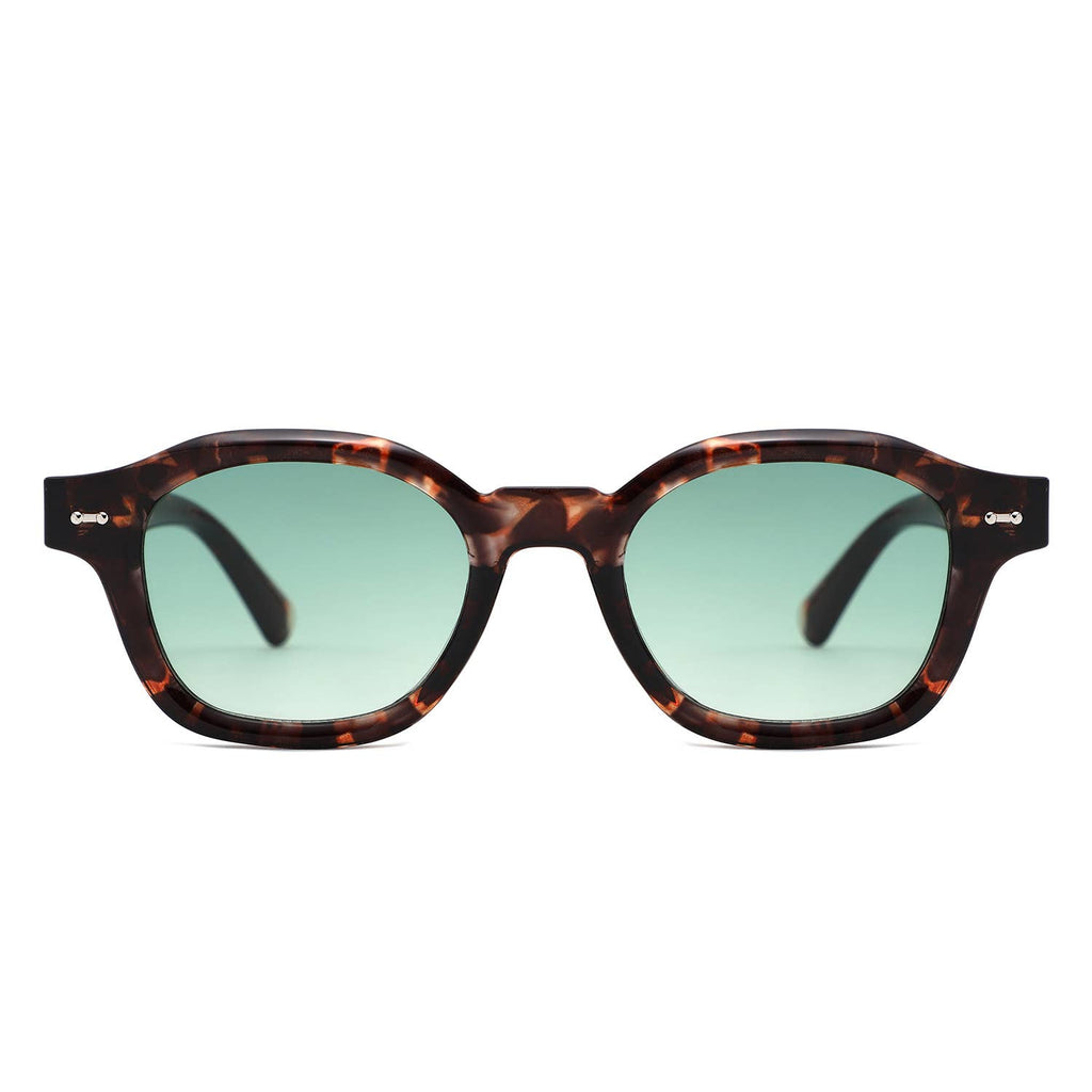 Classic Round Thick Frame Modern Sunglasses