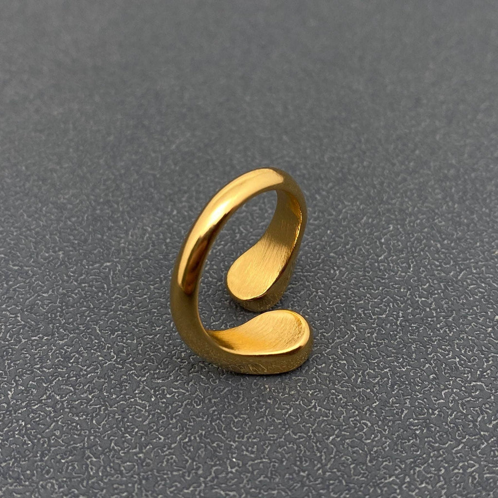 Two-color Zircon 18K Gold-plated Stainless Steel Ring - FGS