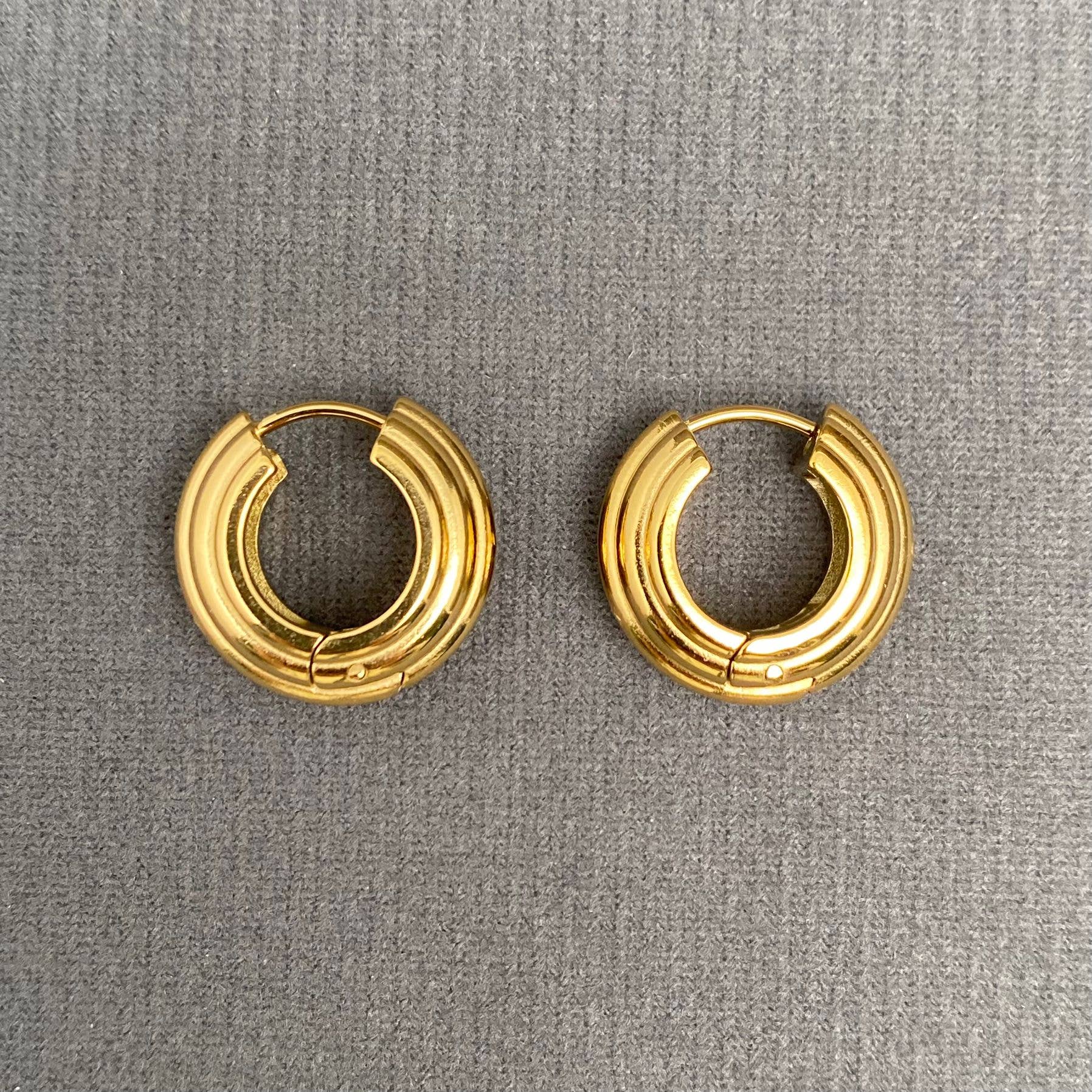 18K Gold Plated Stainless Steel Hoop Earrings - FGS