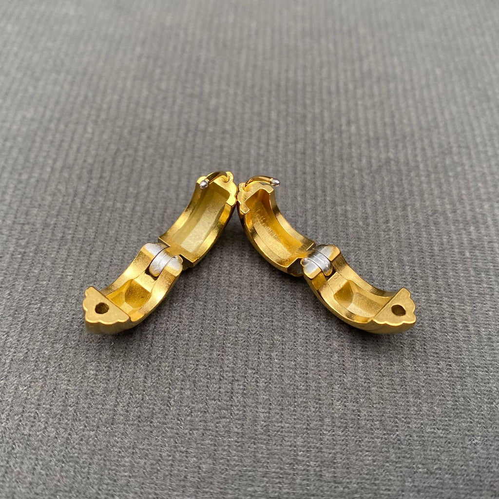 18K Gold Plated Stainless Steel Hoop Earrings - FGS