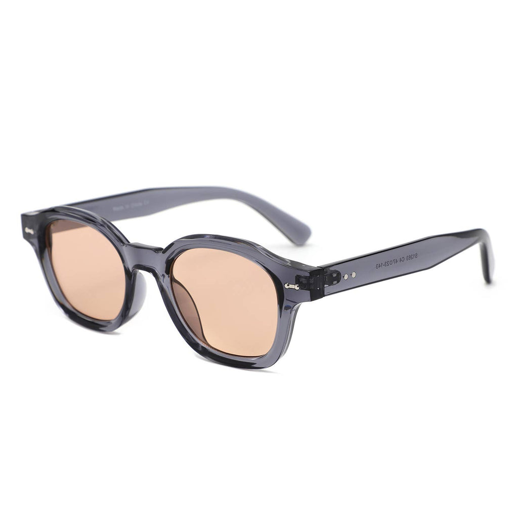 Classic Round Thick Frame Modern Sunglasses
